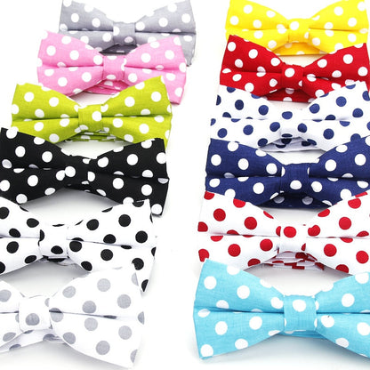 Mens Classic Polka Dot Bowtie Gift
