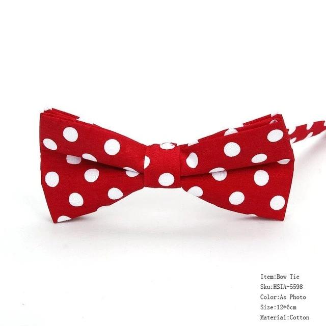 Mens Classic Polka Dot Bowtie Gift