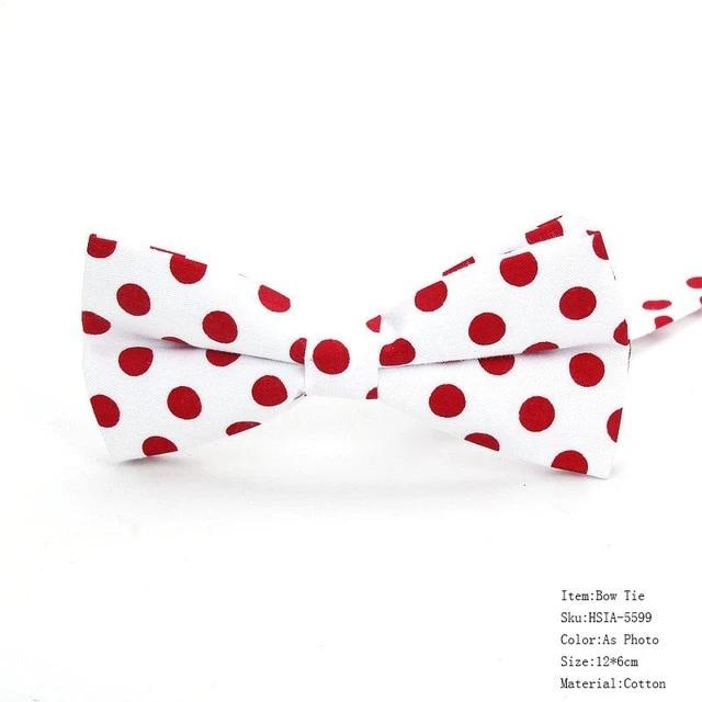 Mens Classic Polka Dot Bowtie Gift