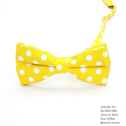 Mens Classic Polka Dot Bowtie Gift