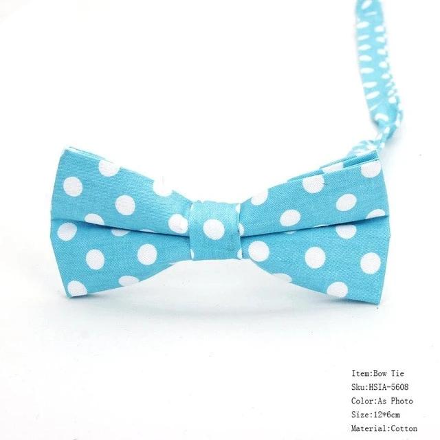 Mens Classic Polka Dot Bowtie Gift